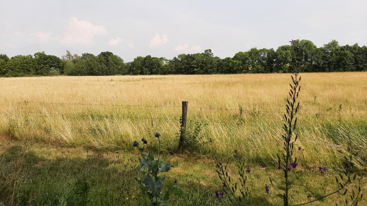 Biesboschbest Werkendam Zewnętrze zdjęcie