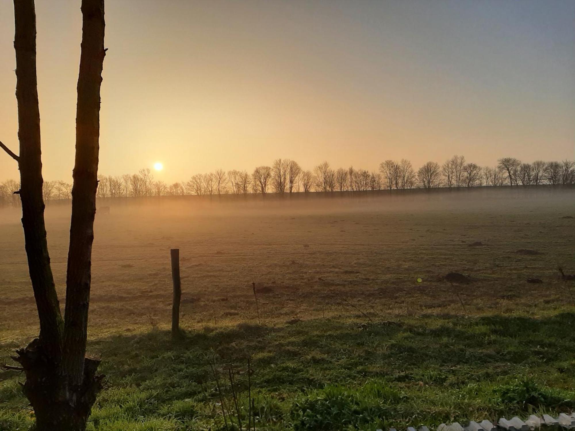 Biesboschbest Werkendam Zewnętrze zdjęcie